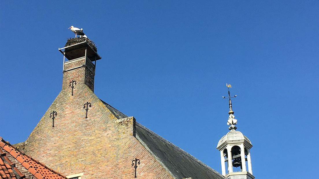 Het stadhuis is al eeuwenlang een thuis voor ooievaars.