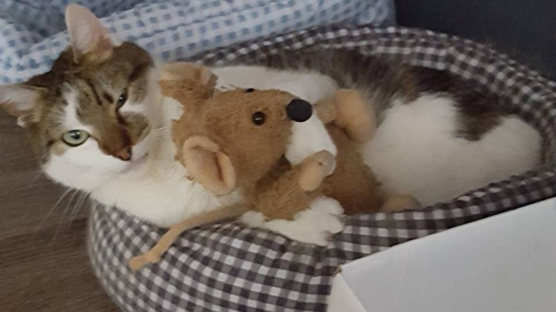 Nero knuffelt met een muisje!