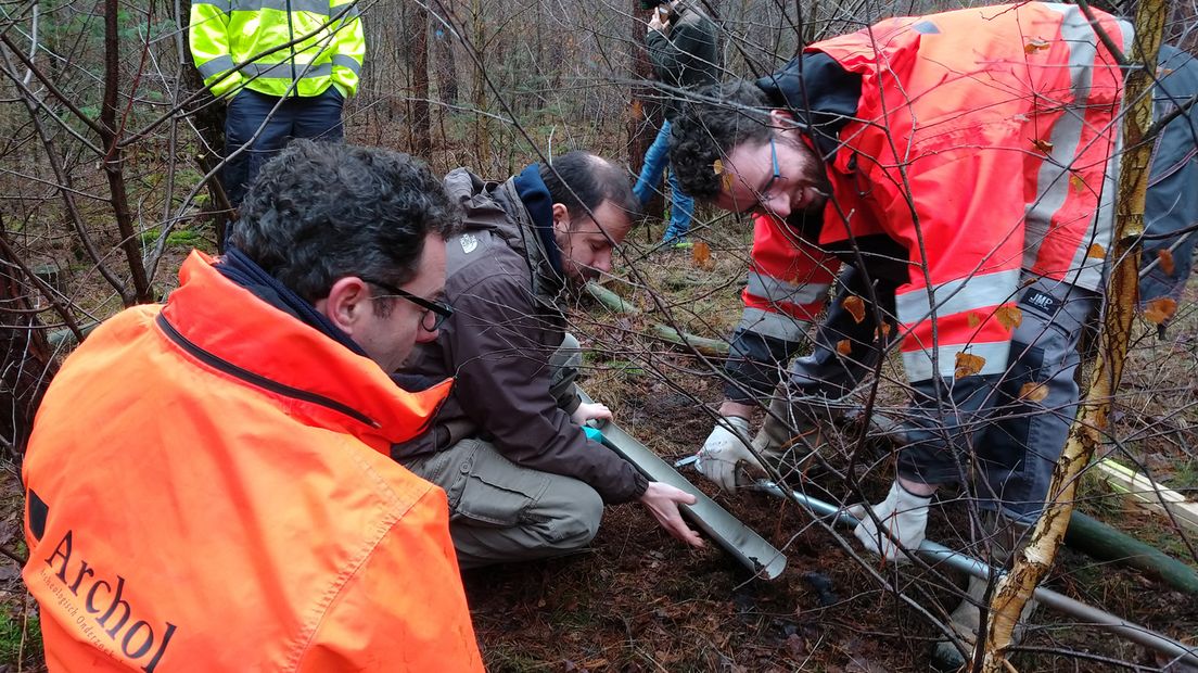 Archeologisch onderzoek naar grafheuvels op de Utrechtse Heuvelrug
