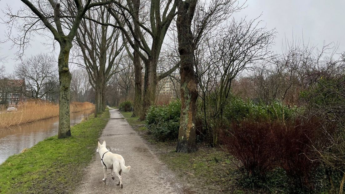 Roomburgerpark Leiden