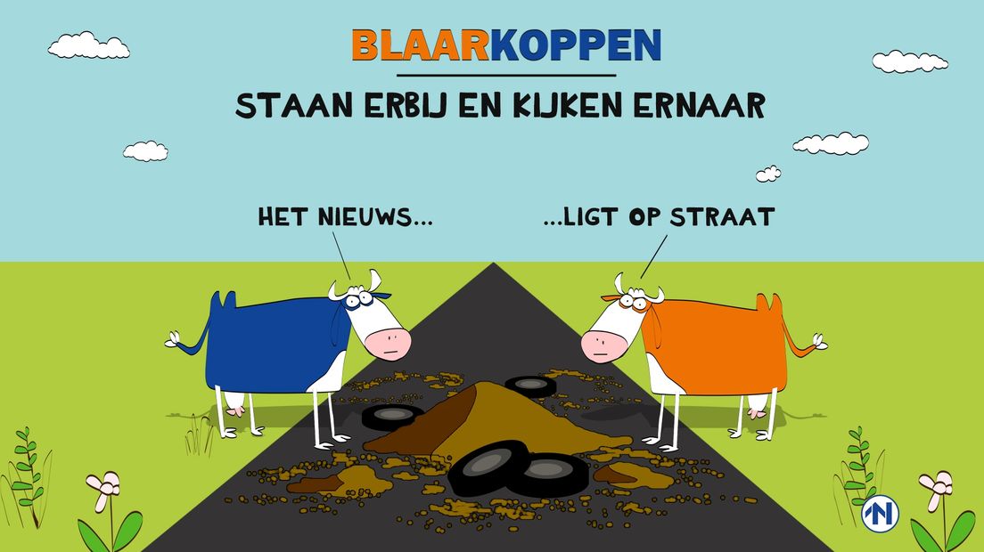Blaarkoppen
