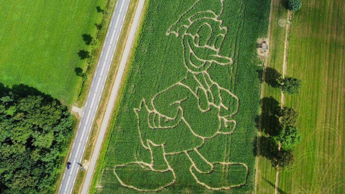 Maisdoolhof van jarige Donald Duck
