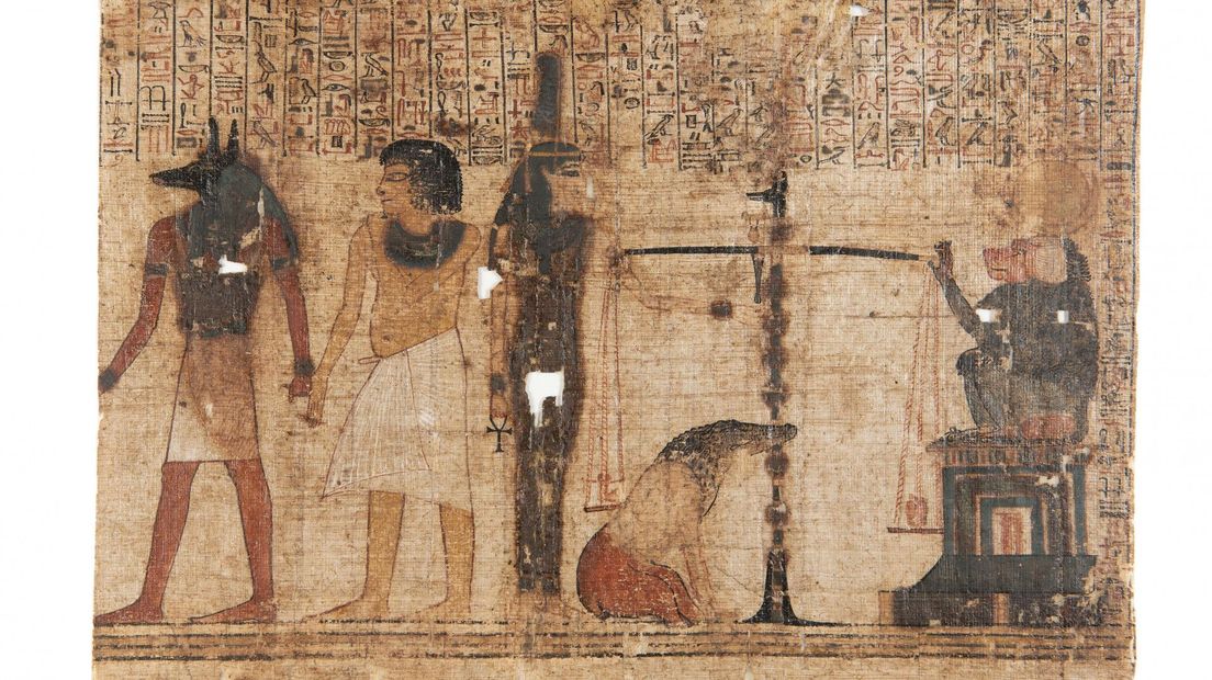 Vel 8 van De papyrus Van Qenna