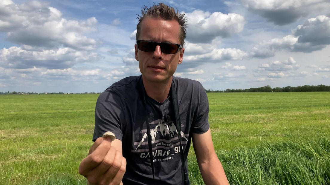 Maarten van Beek vindt een groot stuk schil. Een aanwijzing dat het nest is leeggegeten.
