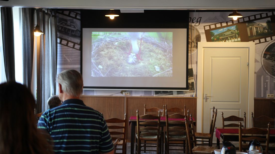 Bezoekers van het café kijken vol spanning naar de beelden vanuit het ooievaarsnest (Rechten: Robbert Oosting/RTV Drenthe)