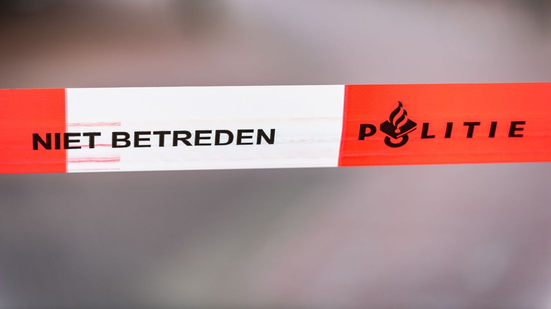 politielint