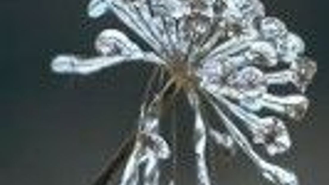 5B78D23F73A2E86BC12576AD007636BA_WPicture1_1.jpg