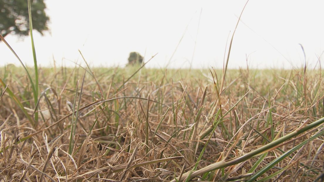 Verbod Op Onttrekken Water Uit Sloten En Kanalen In Westerhuizingerveld ...