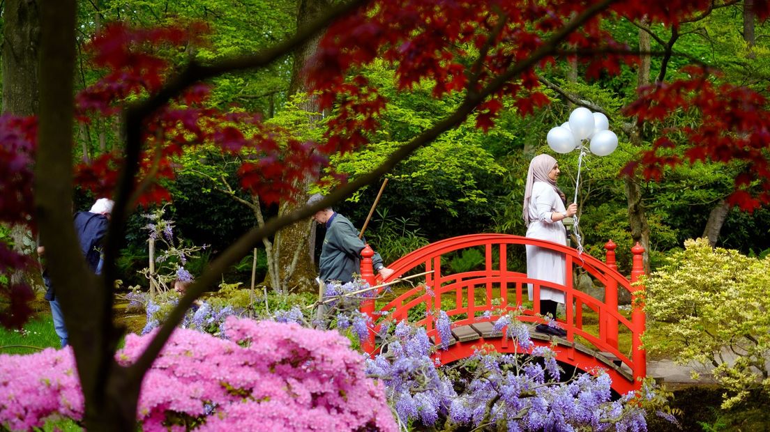 De Japanse Tuin in Landgoed Clingendael