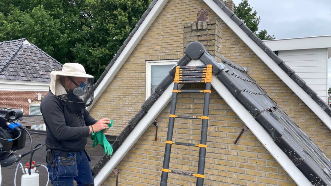 Arjen de Haan op het dak bij het wespennest