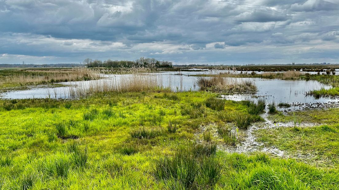 Binnenveldse Hooilanden