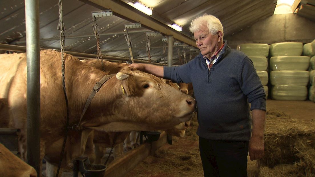 Boer Volkerink