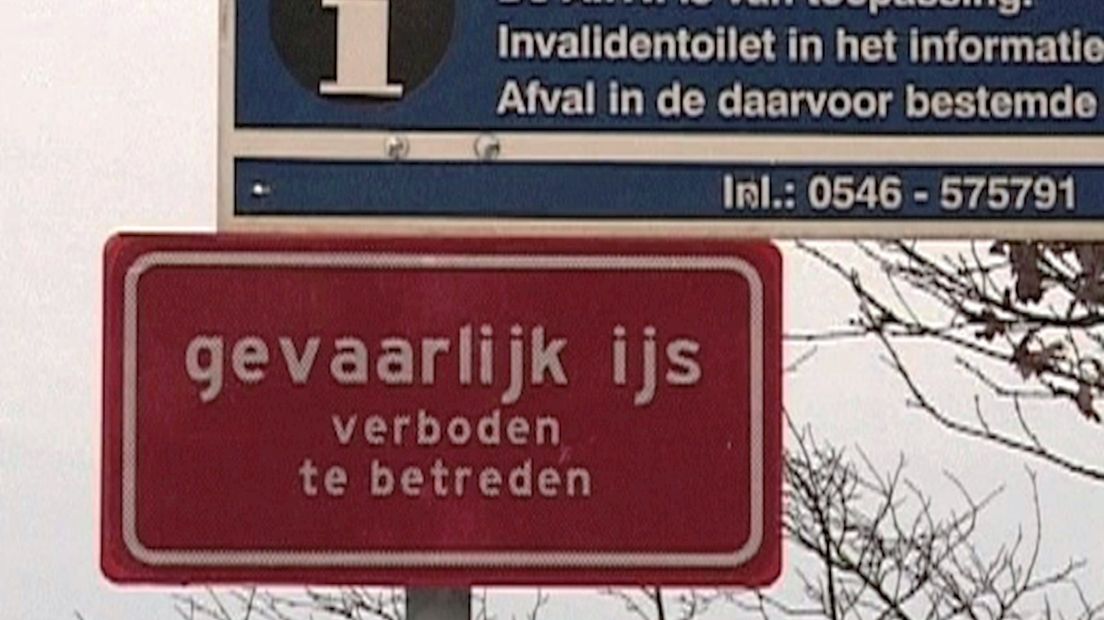 Nieuwjaarsduik op Het Lageveld