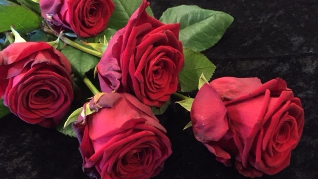 Inwoners 'rozenstad' kopen juist de minste rozen