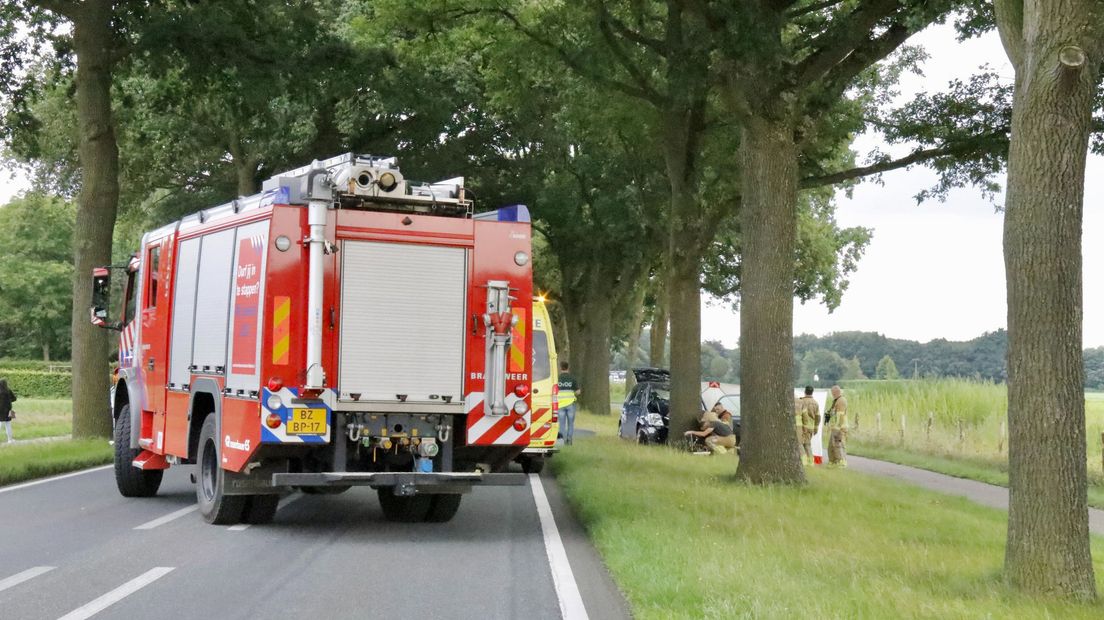 80-jarige man overleden na botsing tegen boom in Milsbeek - 1Limburg | Nieuws en sport uit Limburg