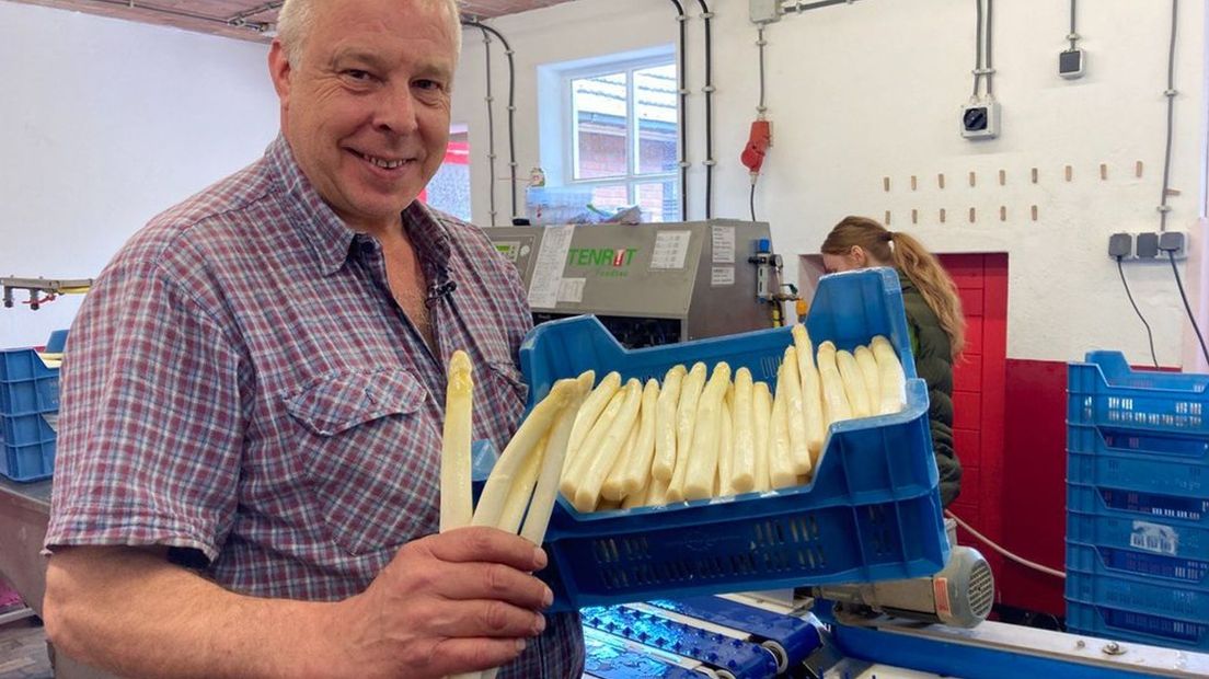 Gerrit Hendriksen is druk bezig met zijn asperges in Drempt.