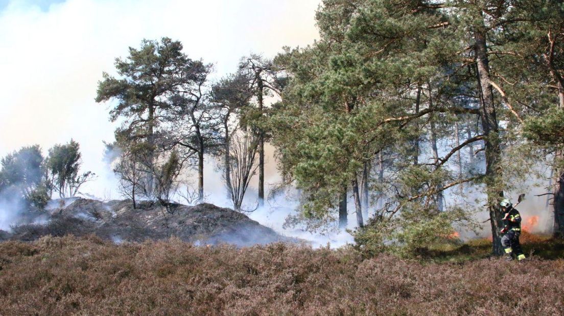 Brand op de hei bij Gasselte (Rechten: Van Oost Media)