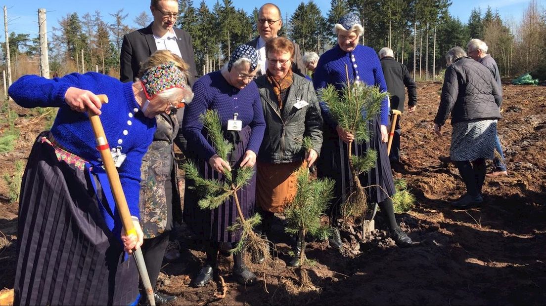 Oud-planters zetten na 57 jaar nog een boom in de grond
