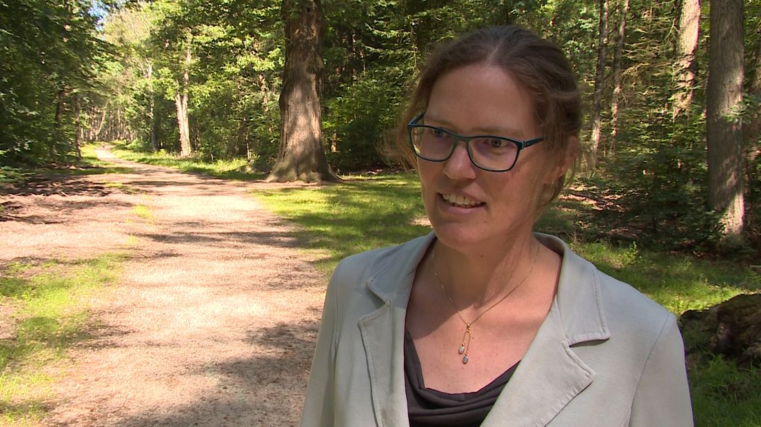 Langdurige droge, hete periodes betekent: meer kans op natuurbranden. Ook hier in Gelderland. Hoe we het beste om kunnen gaan met bos-, heide- en bermbranden, dat wordt internationaal onderzocht onder leiding van de Wageningen Universiteit. De Europese Unie steekt vier miljoen euro in een project om meer experts te trainen om natuurbranden te bestrijden.