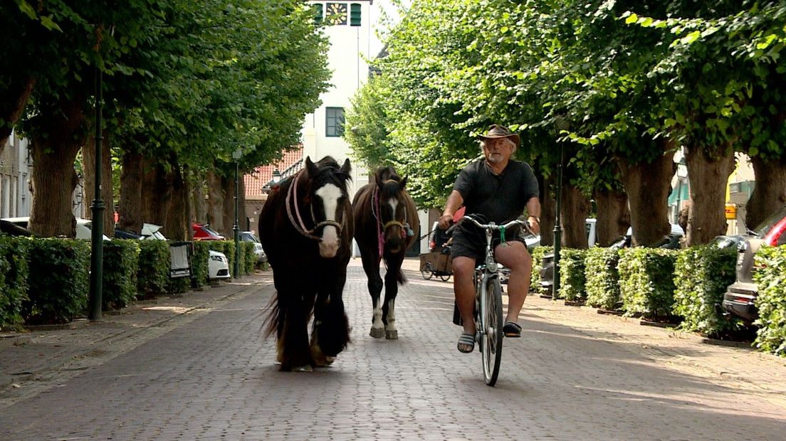 Marinus van Damme laat zijn paarden uit in Colijnsplaat