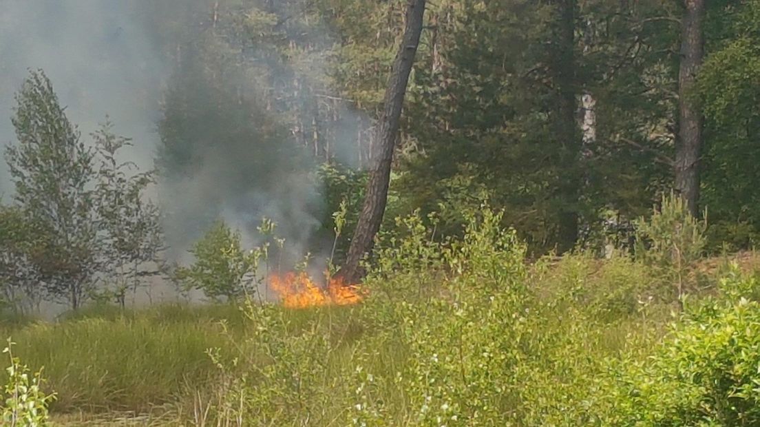 Brand in bosgebied bij Ommen
