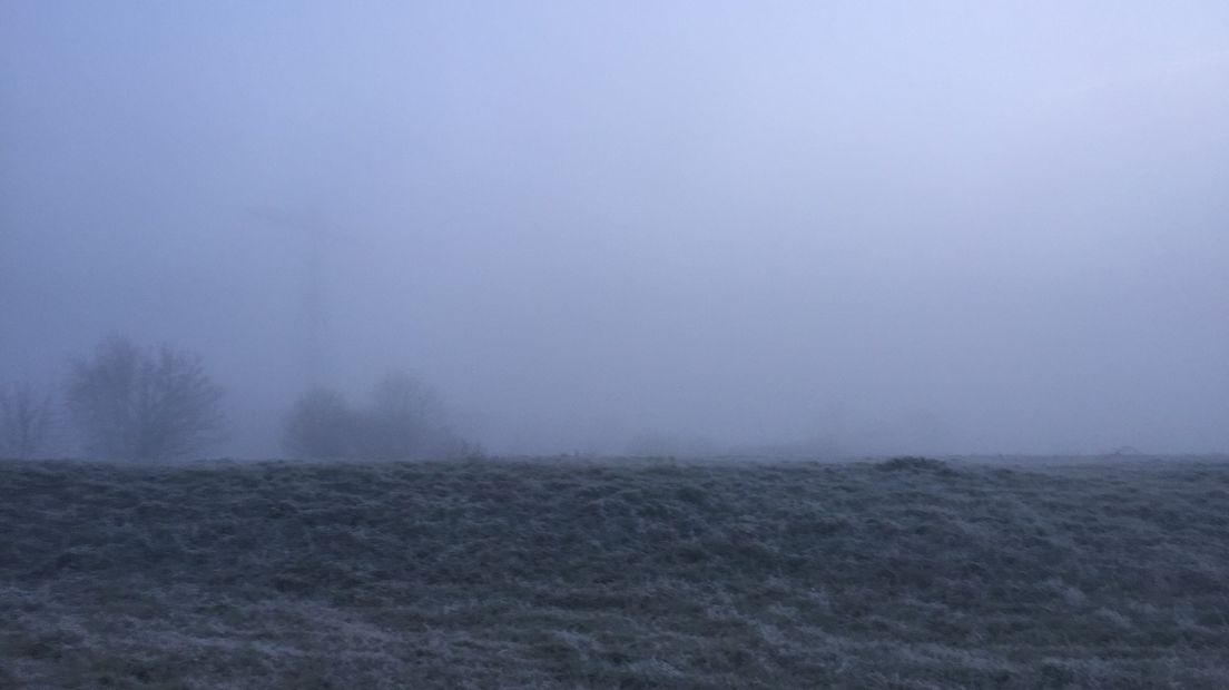 Dichte mist op archiefbeeld