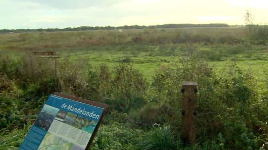 De Mandelanden is een nieuw natuurgebied van 120 hectare (Rechten: RTV Drenthe)