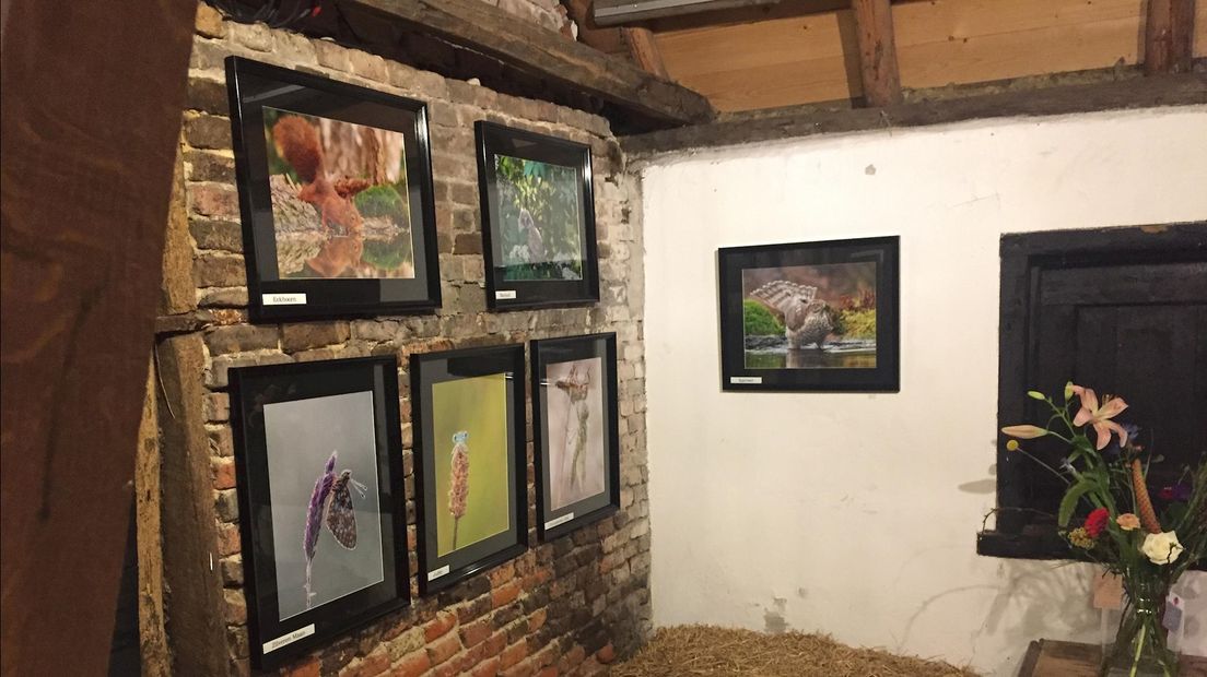 Expositie natuurfotografen Peddemorsboerderij