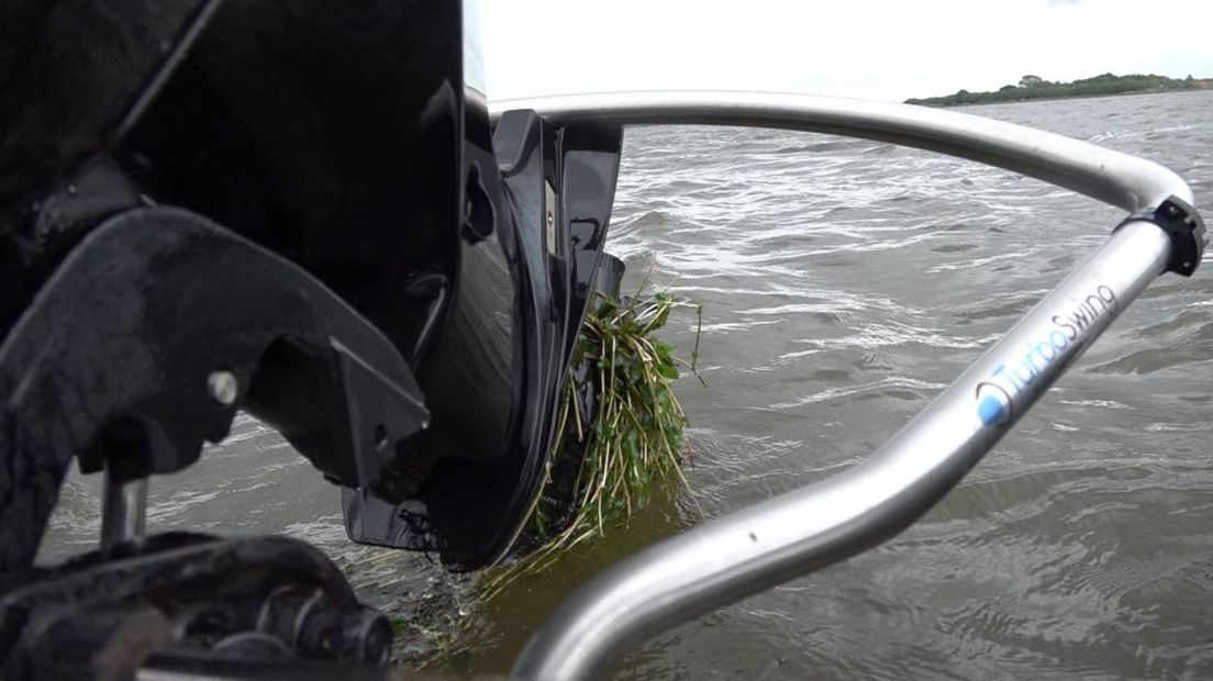 Fonteinkruid in de schroef van een boot