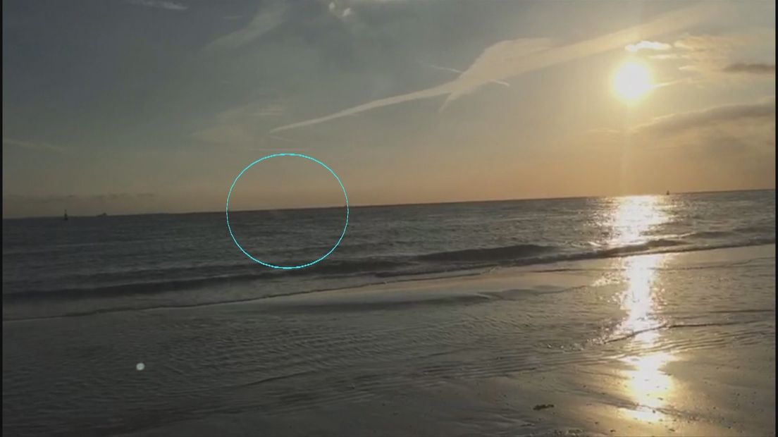 Plan van aanpak voor Groenlandse walvis (video)