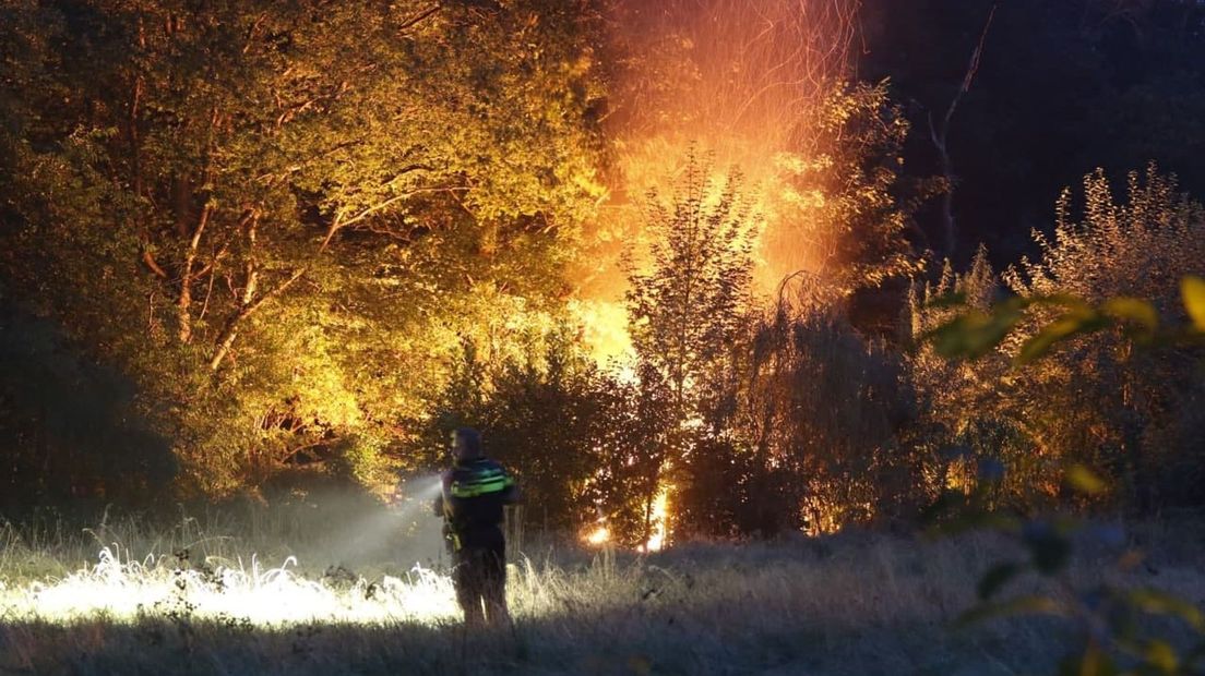brand