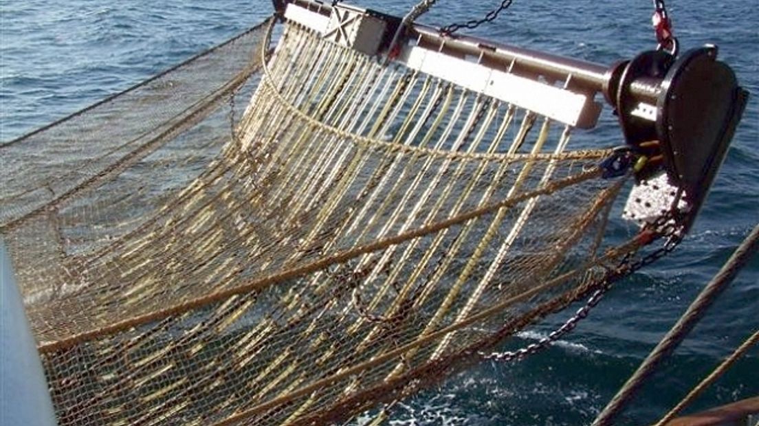 Veel Zeeuwse vissers gebruiken een pulskor, waarmee ze elektrisch vissen