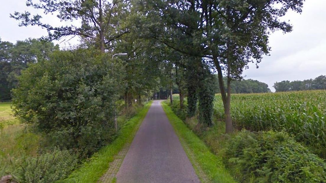 De Hertmerweg in Zenderen