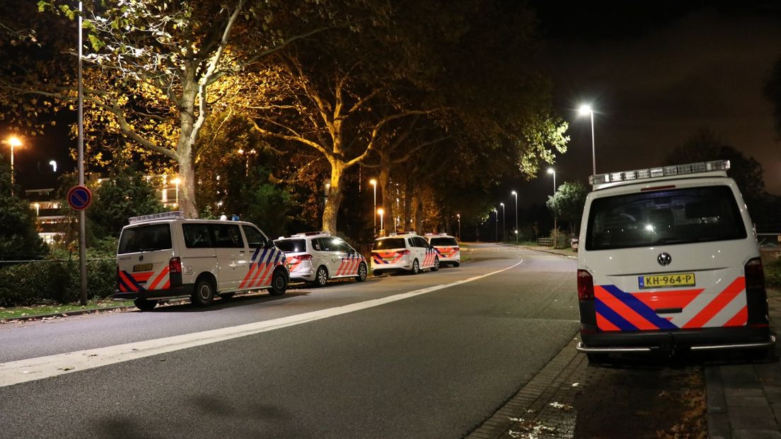 Veel politie bij hotel in Vianen.