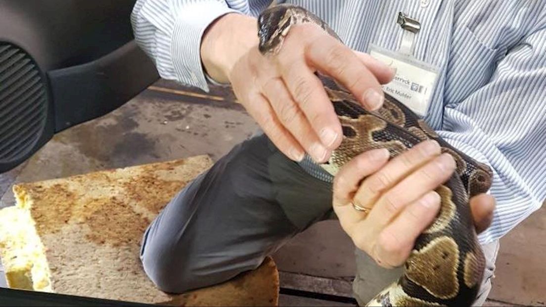 Python gevonden in dashboardkastje