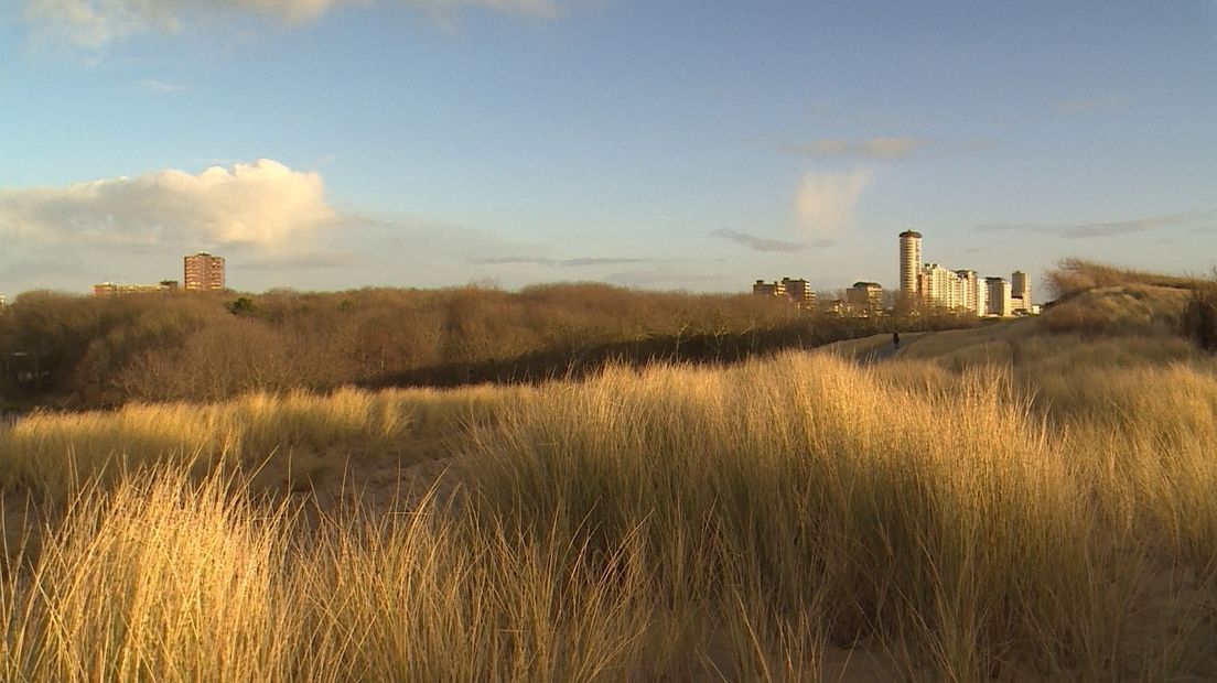 Nollebos, Vlissingen