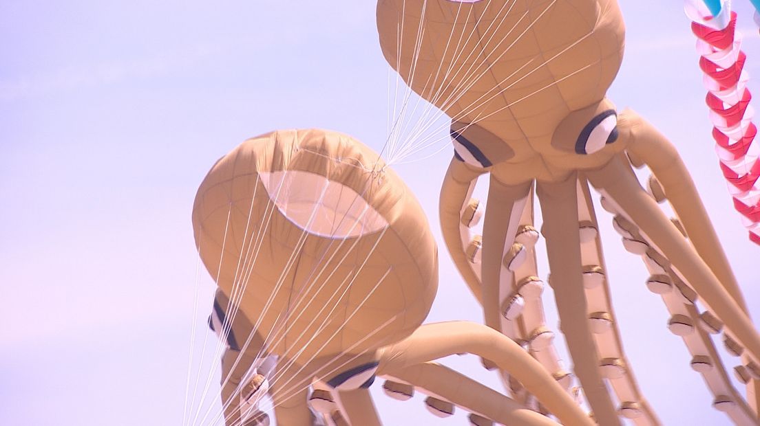 Vliegerfestival Renesse