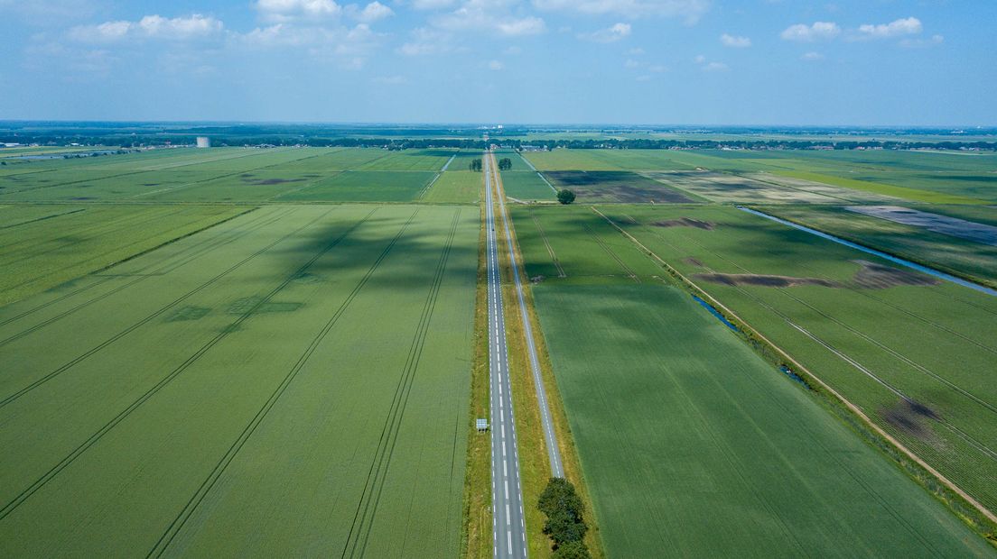De bijdrage moet boeren helpen hun akkerland te gebruiken voor een voedselrijk gebied voor vogels (Rechten: RTV Drenthe)