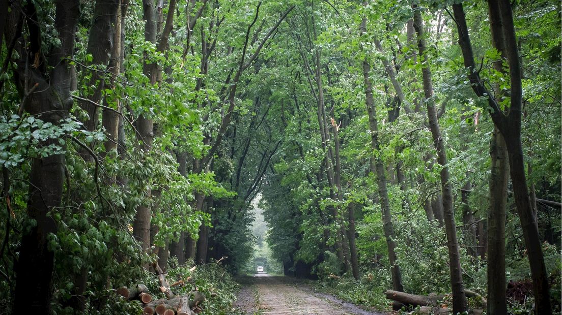 Opruimen aan de Eelerbergweg in Hellendoorn
