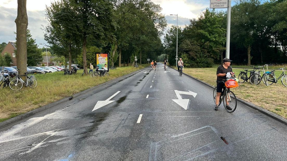 Fietsters op de N230.