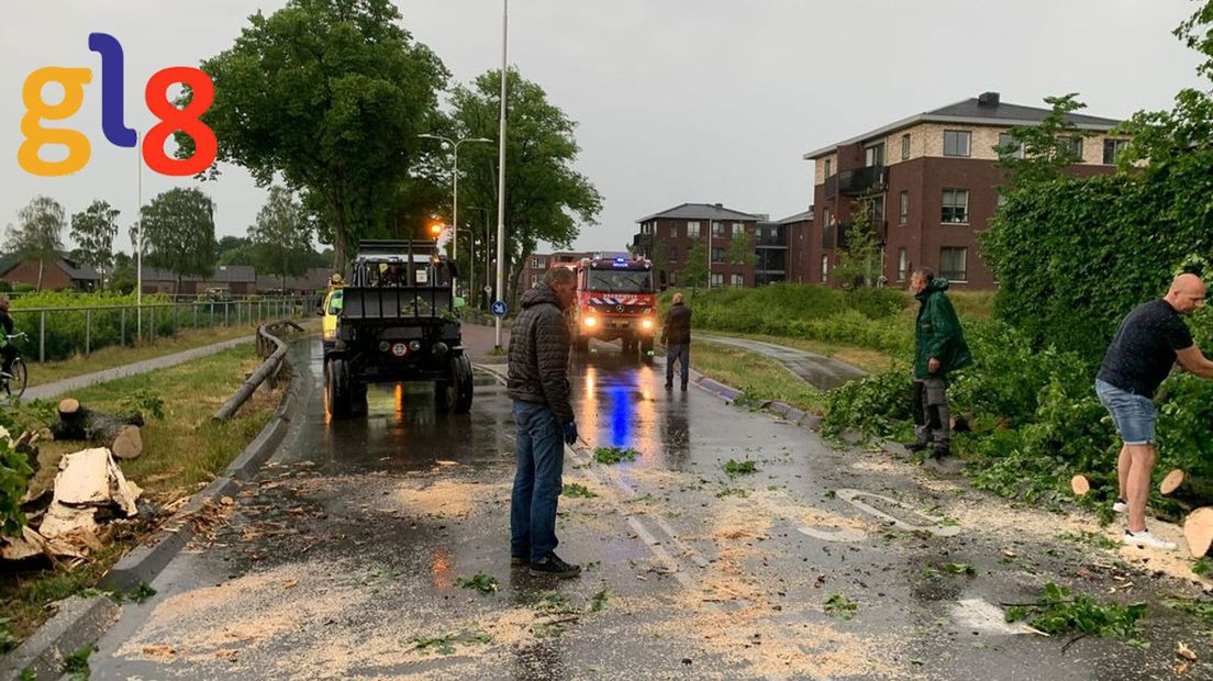 Brandweer ter plaatse en de takken opgeruimd