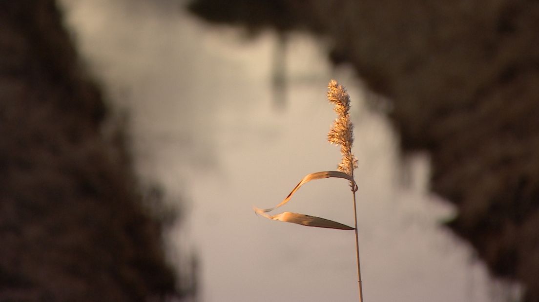Op weg naar minder zelfmoorden in Zeeland (video)