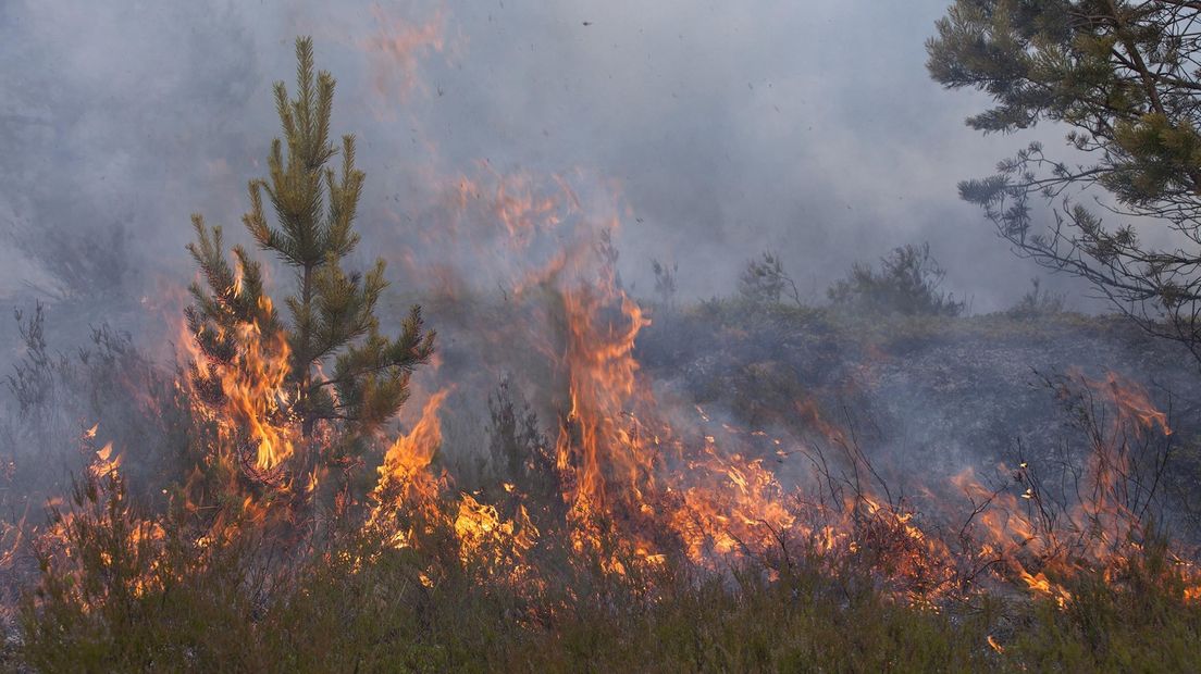 Code Oranje in Overijssel; brandweer vreest natuurbranden
