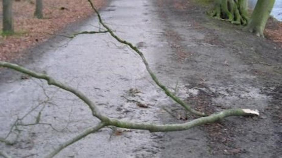 Stormschade