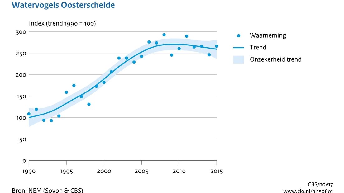 Aantal watervogels in Oosterschelde is flink toegenomen