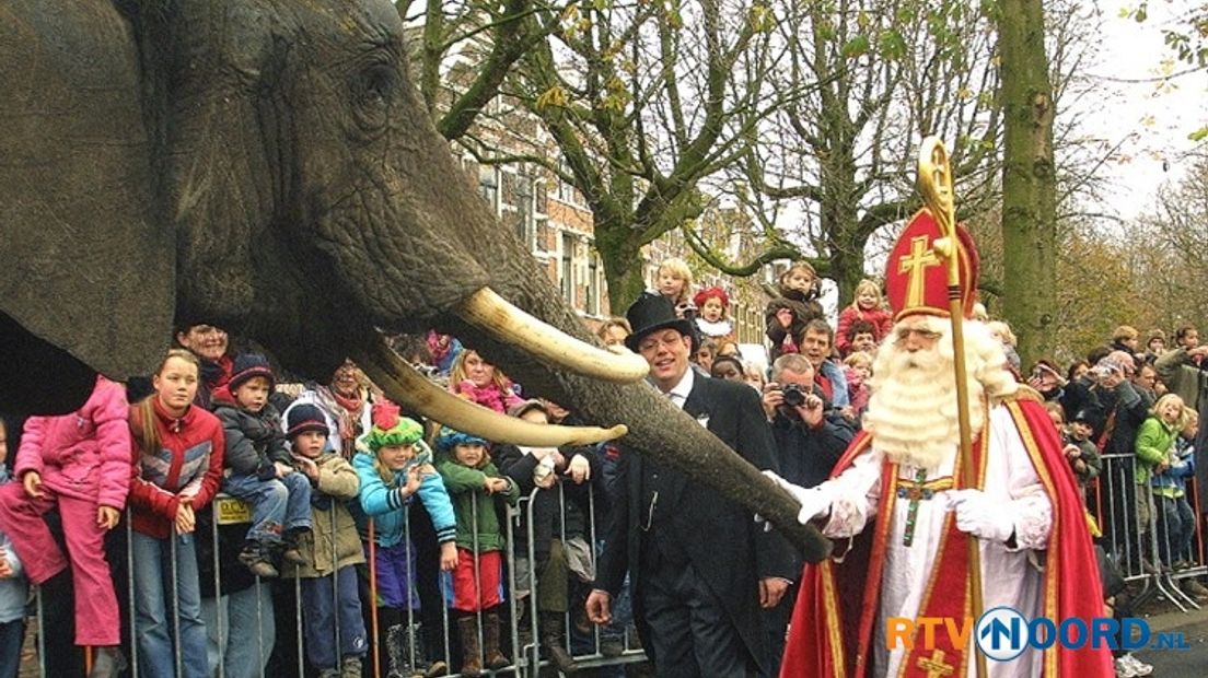 De olifant is geen onbekende voor de Sint