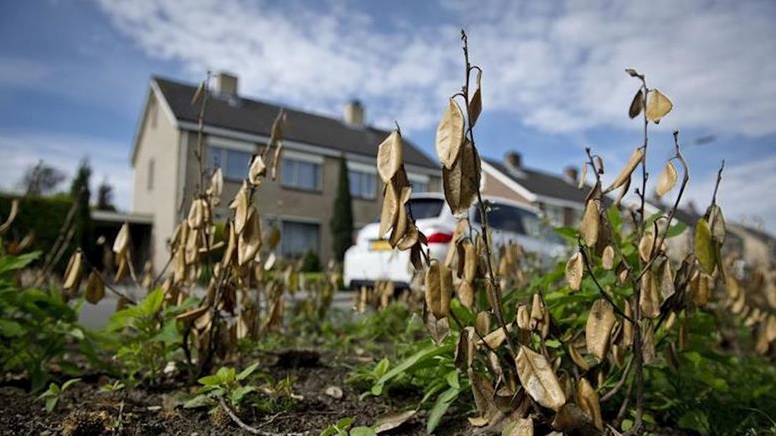 Ruim 2 graden nachtvorst in Twente