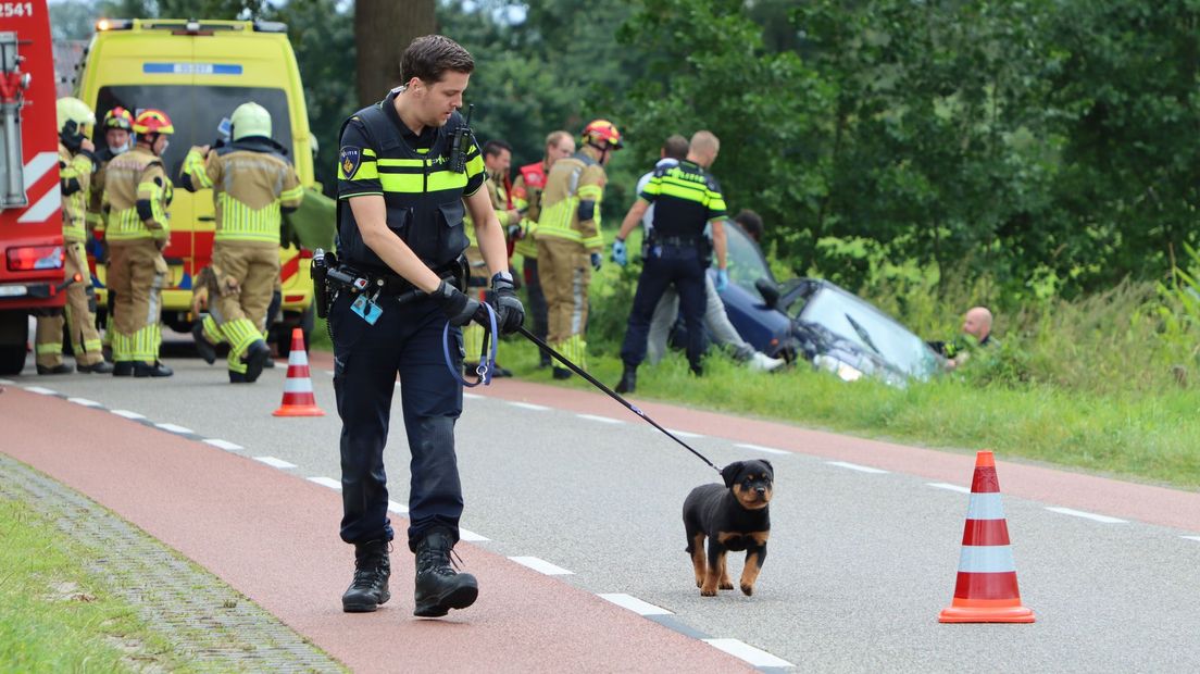 Eén van de honden die in de auto zat tijdens het ongeval