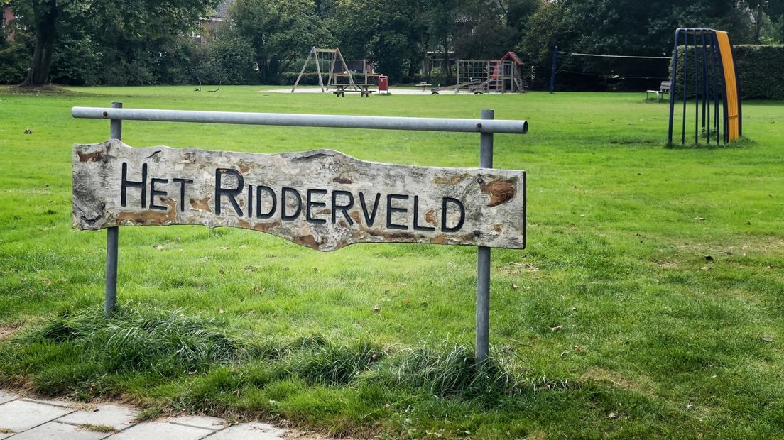 Als het aan de bewoners ligt, blijft het Ridderveld in Emmen een speelveld