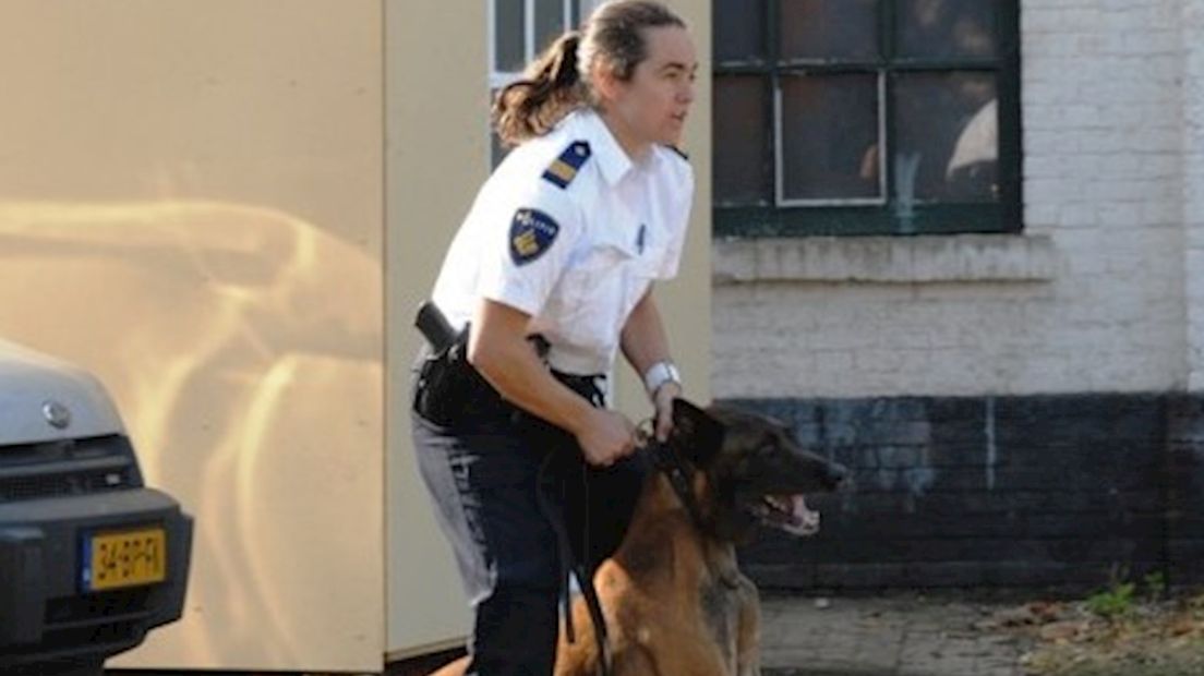 Politiehonden